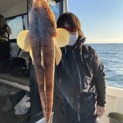 ミタチ丸 釣果