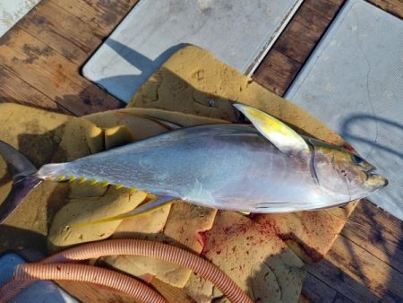 小海途 釣果