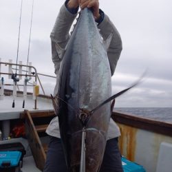 小海途 釣果