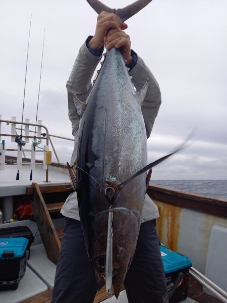 小海途 釣果