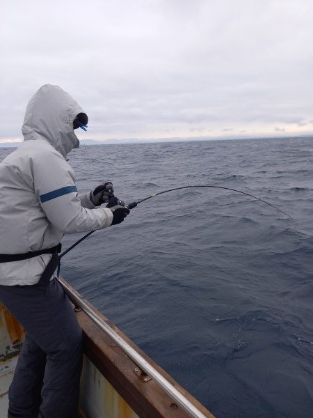 小海途 釣果