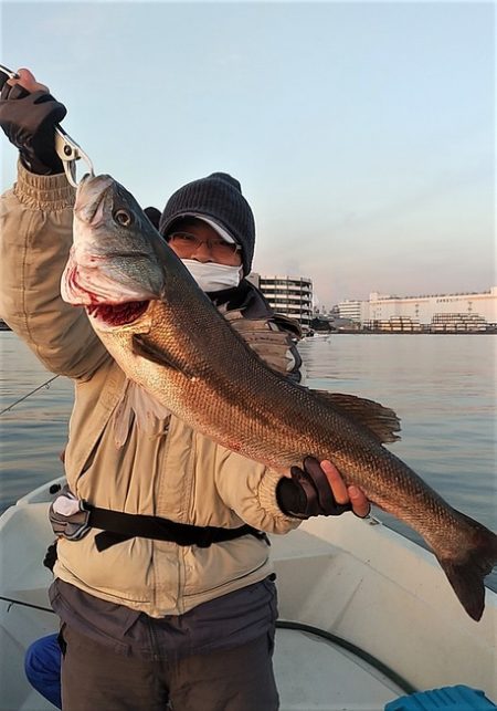 めだか屋 釣果