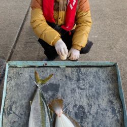 明神釣船 釣果