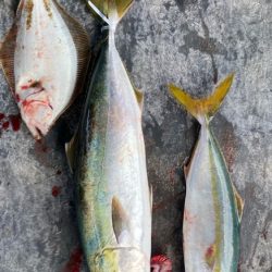 明神釣船 釣果