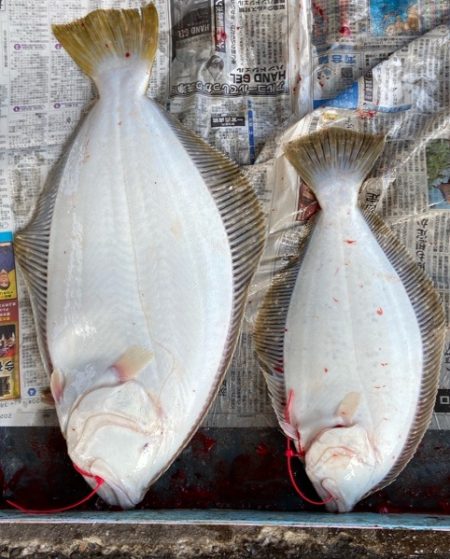 明神釣船 釣果