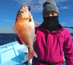 東京湾探釣隊ぼっち 釣果