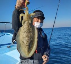 東京湾探釣隊ぼっち 釣果