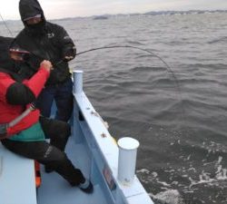 東京湾探釣隊ぼっち 釣果