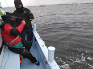 東京湾探釣隊ぼっち 釣果