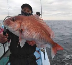 東京湾探釣隊ぼっち 釣果