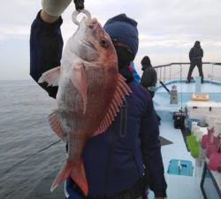 東京湾探釣隊ぼっち 釣果