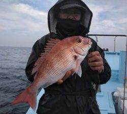 東京湾探釣隊ぼっち 釣果