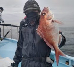 東京湾探釣隊ぼっち 釣果