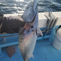 海晴丸 釣果