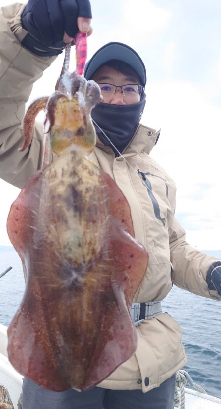 シースナイパー海龍 釣果