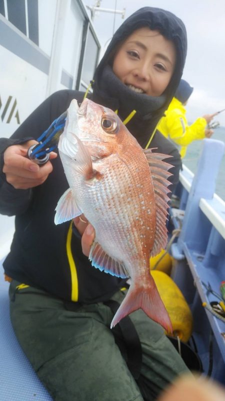 新幸丸 釣果