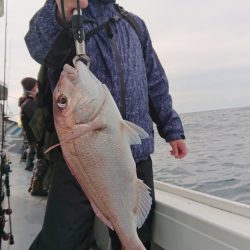 だて丸 釣果