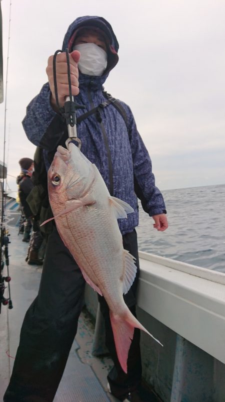 だて丸 釣果