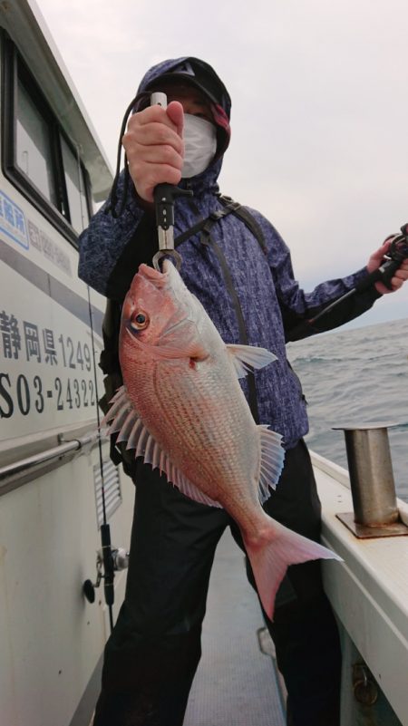 だて丸 釣果