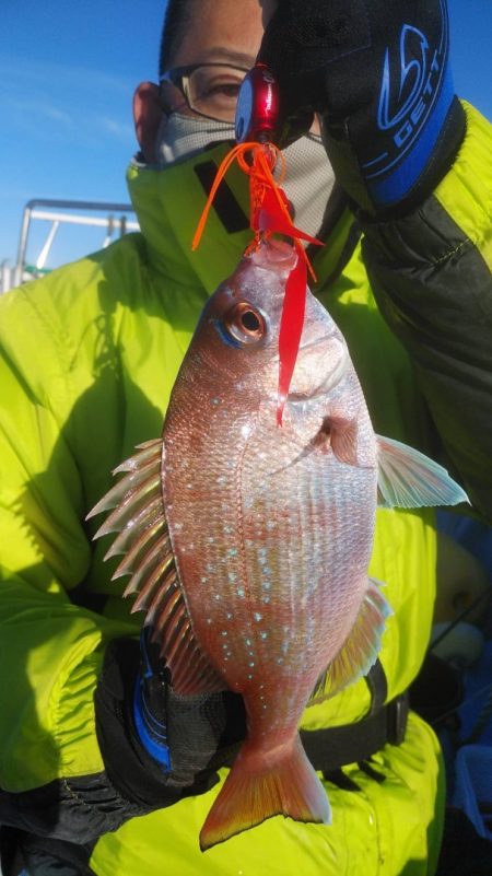 新幸丸 釣果