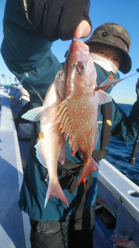 新幸丸 釣果