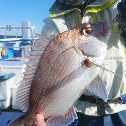 新幸丸 釣果