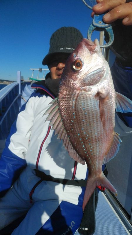 新幸丸 釣果