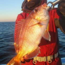 新幸丸 釣果