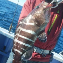 新幸丸 釣果