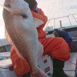 だて丸 釣果