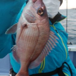 新幸丸 釣果