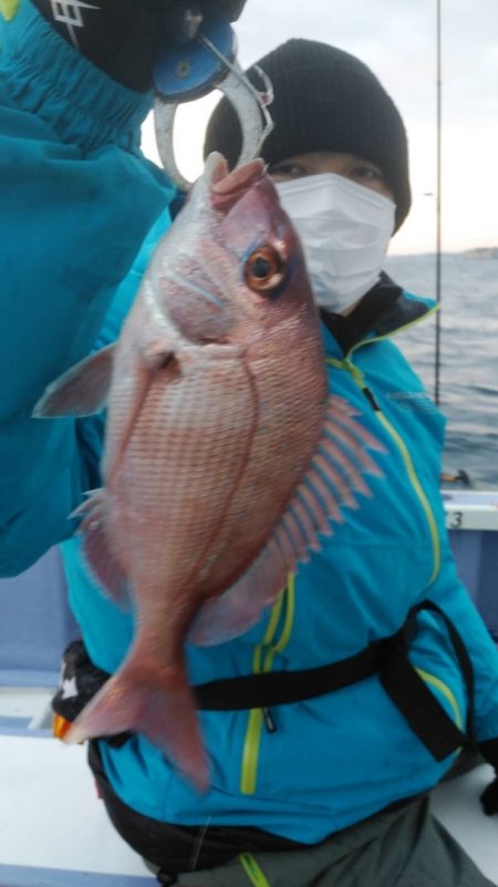 新幸丸 釣果