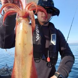 シースナイパー海龍 釣果