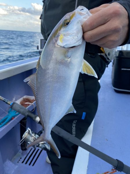 新幸丸 釣果