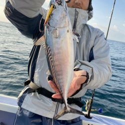 新幸丸 釣果