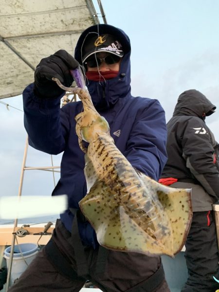 きずなまりん 釣果