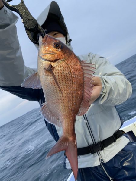 新幸丸 釣果