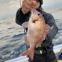 新幸丸 釣果