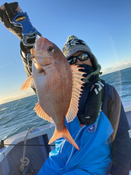 新幸丸 釣果