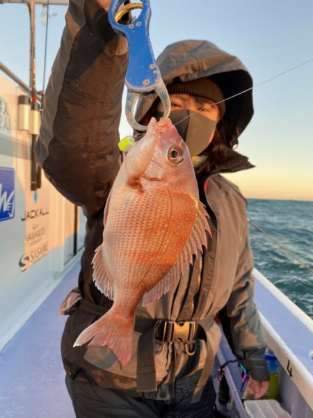 新幸丸 釣果