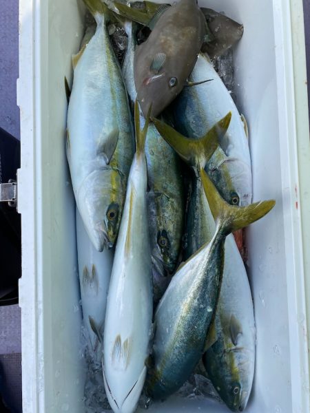 海龍丸（石川） 釣果