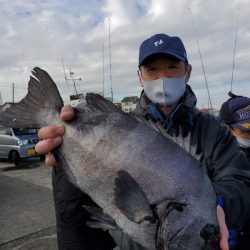 富士丸 釣果