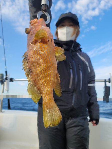 ソルトウォーターガイドフレンズ 釣果