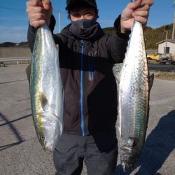 ありもと丸 釣果