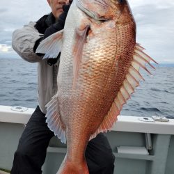 シーライオン 釣果