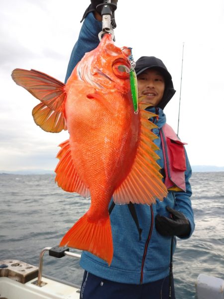 鷹王丸 釣果