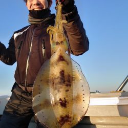 ブルースフィッシングサービス 釣果