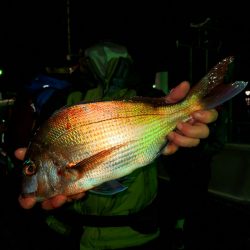 富士丸 釣果