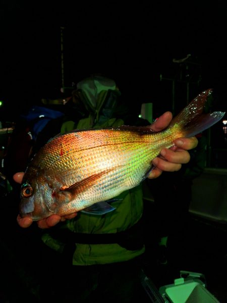 富士丸 釣果