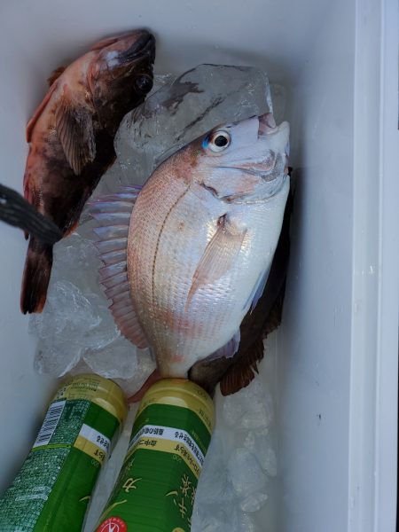 富士丸 釣果